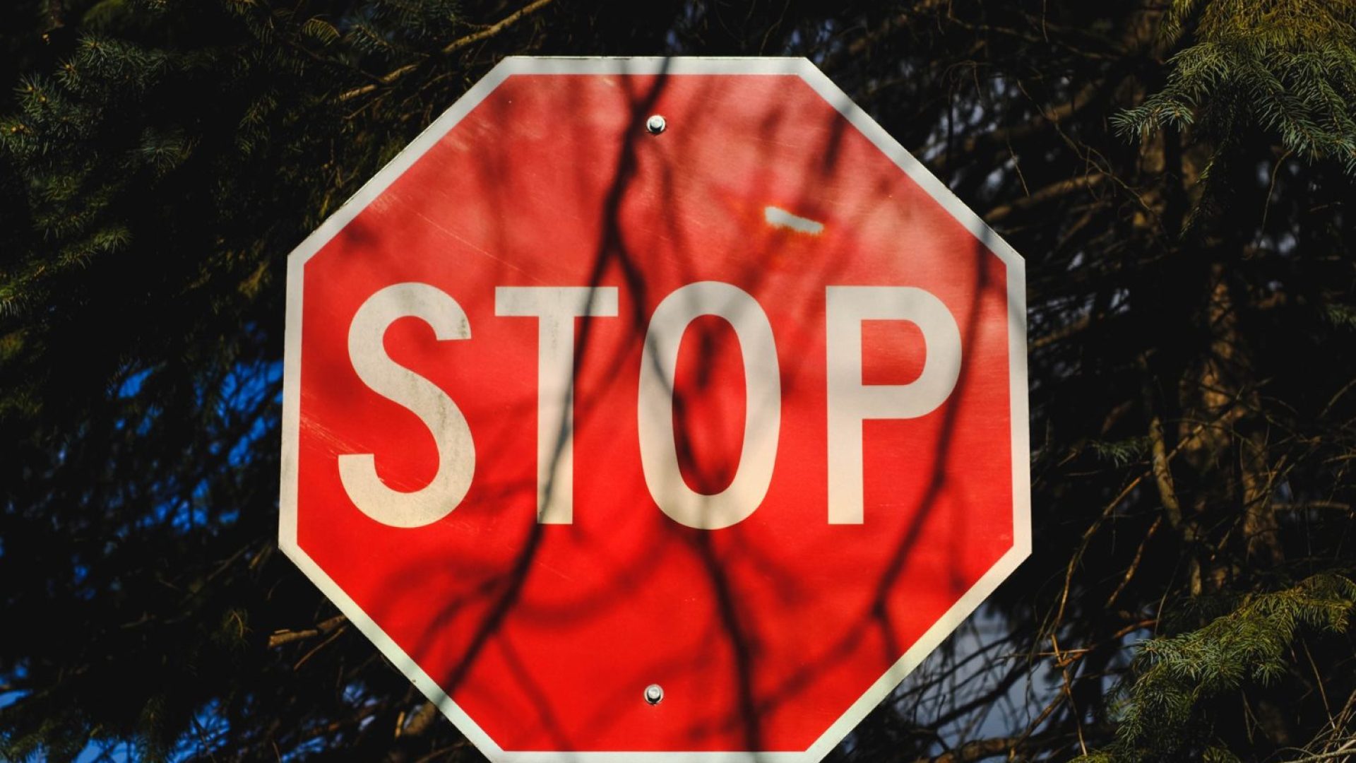 stop